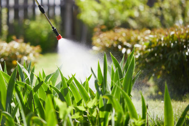 Tamper-Resistant Bait Stations for Rodents in Owatonna