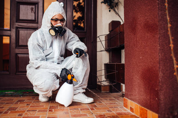 Attic and Crawl Space Rodent Treatment in Owatonna