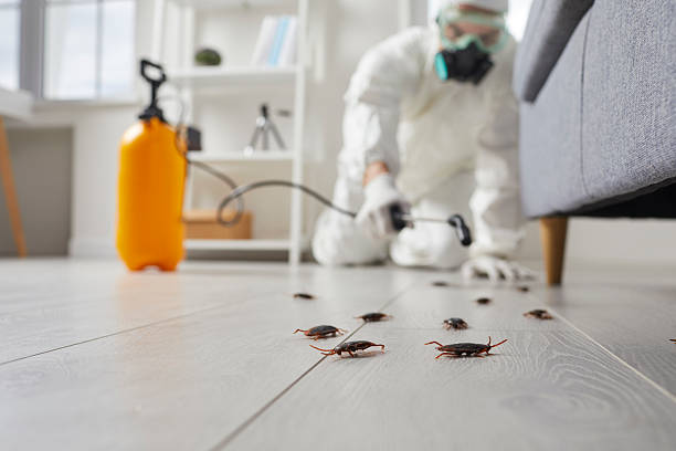 Commercial Rodent Management in Owatonna